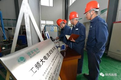 科技引领 为绿色智能电网保驾护航——技术咨询的核心价值