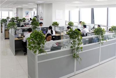 山东正舟 滨州网站制作的专业技术咨询与方案制定